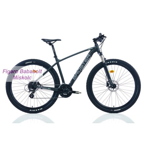 Broster Kaylon 29er könnyűvázas MTB kerékpár 19" Szürke