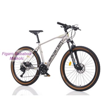   Broster Rangver 29er könnyűvázas MTB kerékpár 19" Szürke